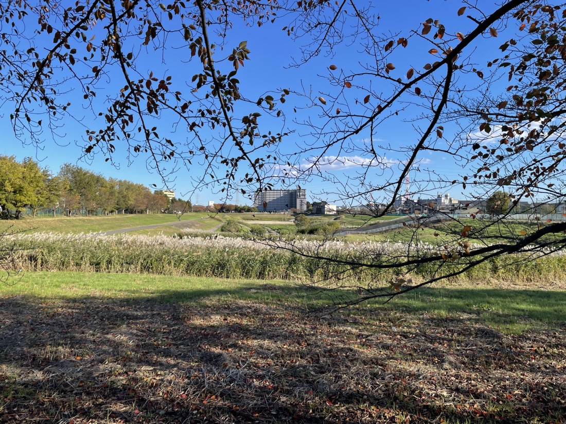 우리나무 서비스 종료 안내문을 보고 나는… …